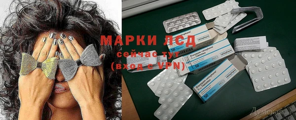 ПСИЛОЦИБИНОВЫЕ ГРИБЫ Алагир