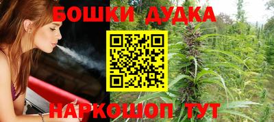 крисы Ирбит