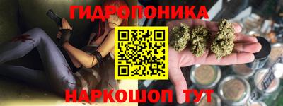 крисы Ирбит