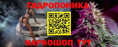 крисы Ирбит