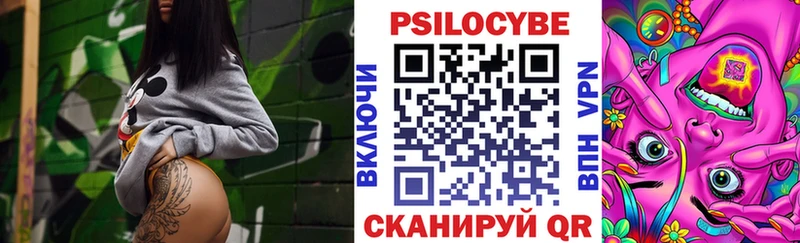 как найти закладки  Черногорск  Псилоцибиновые грибы MAGIC MUSHROOMS 